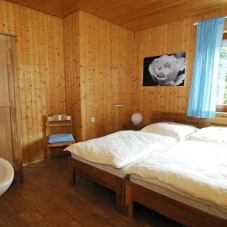 Willingen-ferienhaus-von-nitzsch Vakantiehuis Willingen (Upland)